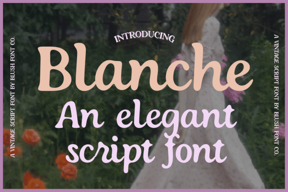 Blanche: A Vintage Script Font for Elegant Design